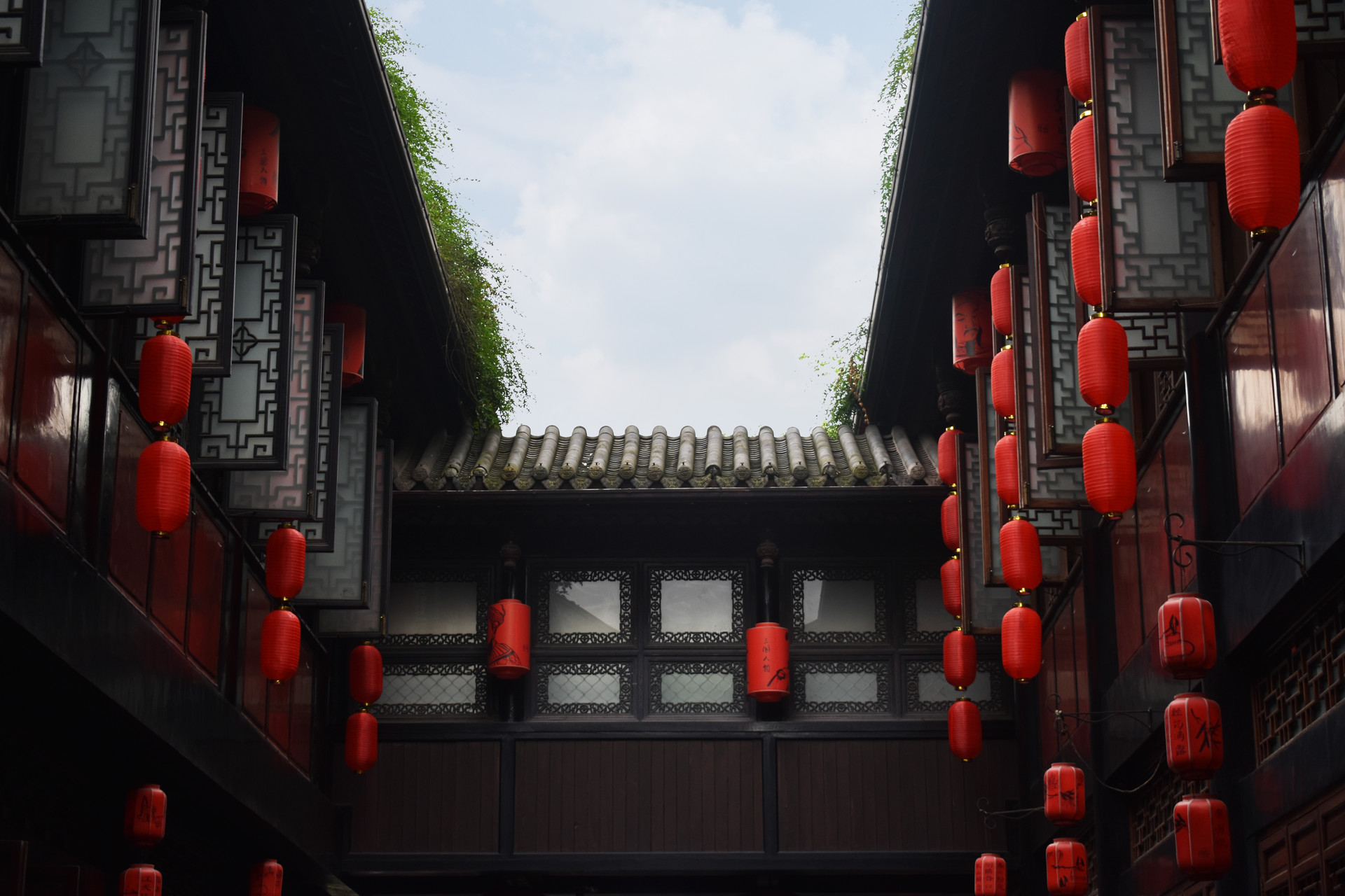 摄图网_500621290_banner.jpg